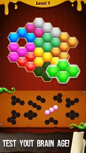 Hexa-mazing Fun: Block Puzzle - Screenshot 3