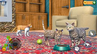 Cat Simulator Offline Cat Game - Screenshot 3