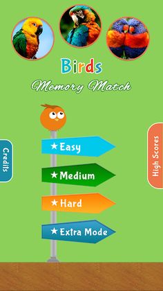 Birds Memory Match Game - Screenshot 1