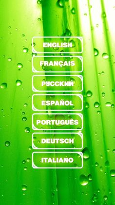 555 images - Screenshot 1