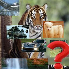 Picture Puzzle - Screenshot 1