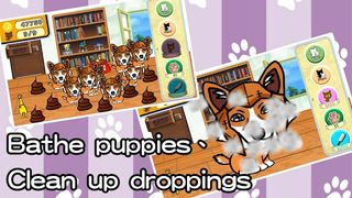 OMG Dog Ver1 - Screenshot 3