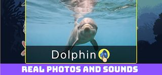 Sea Animals: game for learning - Screenshot 2