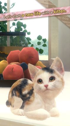 with My CAT - Screenshot 1