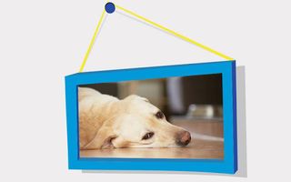 Picture Puzzle: Labrador Retri - Screenshot 3