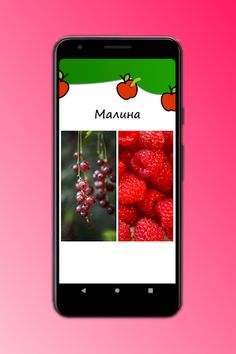 What is the dish - Screenshot 1