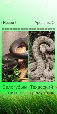 Викторина: Научное наследие - Screenshot 3