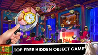 Hidden Object : Mystery Castle - Screenshot 1