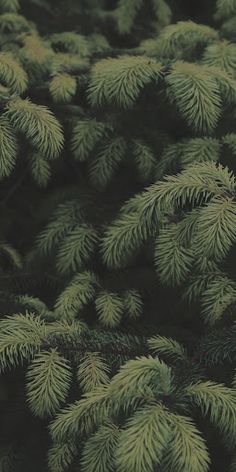 cool rainbow - Screenshot 2