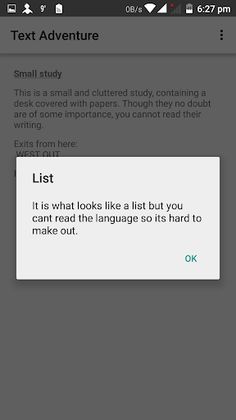 Mini Text Adventure - Screenshot 2