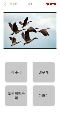 새 퀴즈 - Screenshot 2