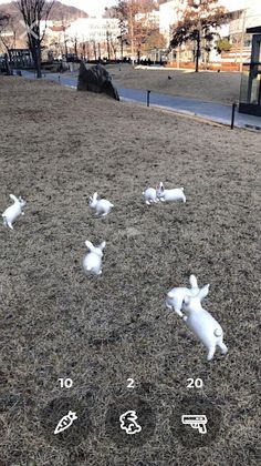 Rabid Rabbit! - Screenshot 3