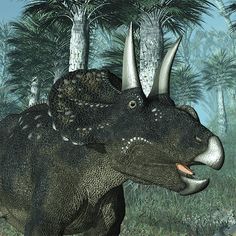 Dinosaur Jigsaw Puzzle Games - Screenshot 2