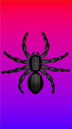 spider.scare - Screenshot 3