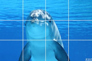 Natural Puzzle - Screenshot 3