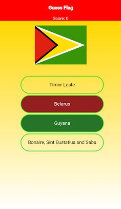 Flags Quiz - All Countries - Screenshot 1
