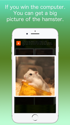 Hamster Memory Game - Screenshot 3