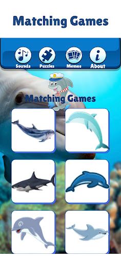 Fun Dolphin Show Game For Kids - Screenshot 4