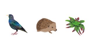 CL-AR - Screenshot 2