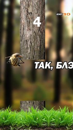 Так Блэт Bird Игра - Screenshot 3