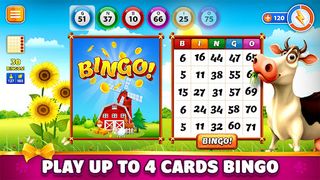 Pet Bingo: Bingo Game 2022 - Screenshot 3