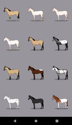 A Dozen Tiny Horses - Screenshot 1