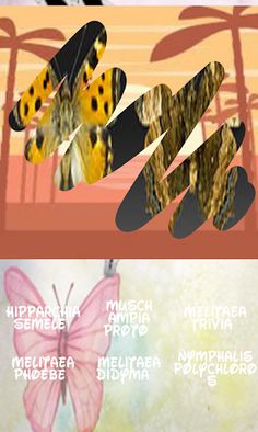 Butterflies, scratch hiding - Screenshot 3