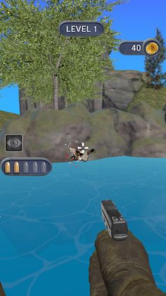 Shooting Ducks - Screenshot 1