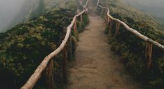 Whispering pines - Screenshot 4