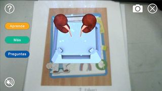 EDU_human_torso_AR_27 - Screenshot 1