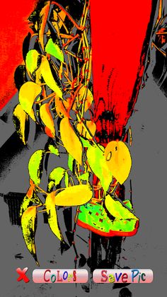 Color Scorer Deluxe - Screenshot 2