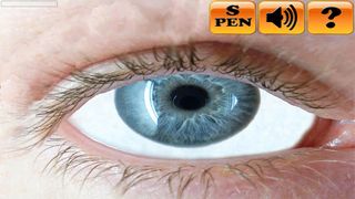 Eyewinker S-Pen - Screenshot 2