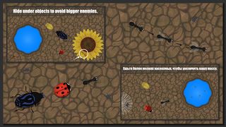 Ant Evolution : Insect Life - Screenshot 1