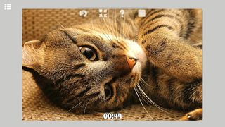 Super Jigsaw Puzzle Kittens - Screenshot 3