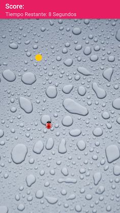 MARIQUITA GLOTONA - Acción cas - Screenshot 2