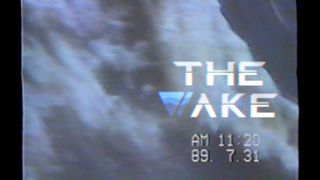 The Wake - Screenshot 1