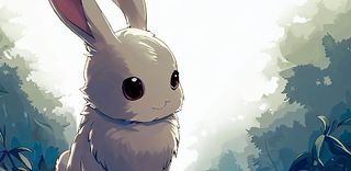 RabbitRun - Screenshot 1