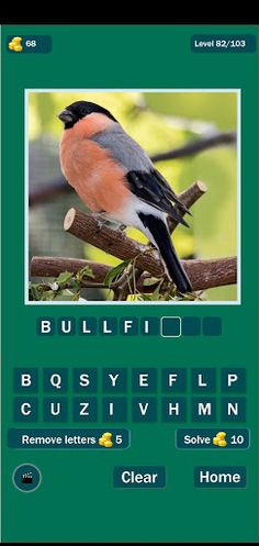 Animal Trivia 2 - Screenshot 3