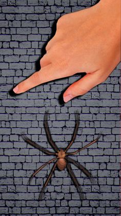 Serbuan Serangga Dan Kecoa - Screenshot 2