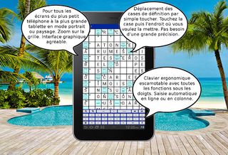 Mots Fléchés Mélangés - un cas - Screenshot 3