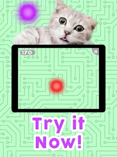 Games for Cats! - Screenshot 4