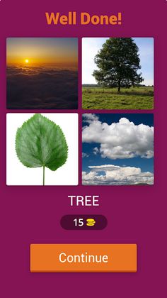 Guess the Object Quiz - Screenshot 4