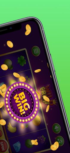 Wild Fruit - Screenshot 3