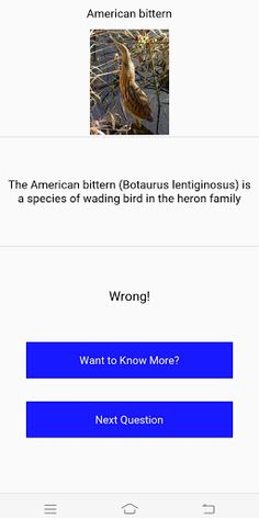 Geo Trivia : Birds - Screenshot 4