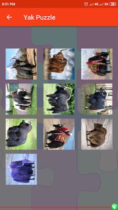 Yak Puzzle - Screenshot 4