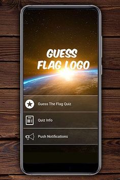Guess Flag Logo - Screenshot 1