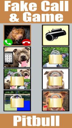 Fake Call Pitbull Game - Screenshot 2