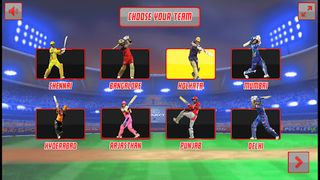 Mr Legend Cricket Game - Screenshot 2