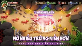 Vương Quốc Kiến - Gamota - Screenshot 3