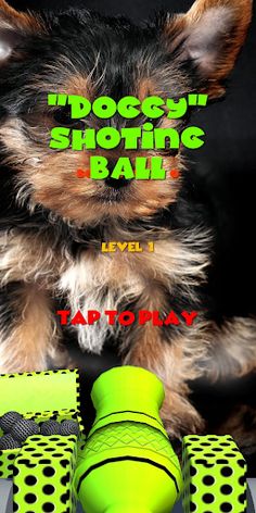 Dog Shooting Ball - Screenshot 4